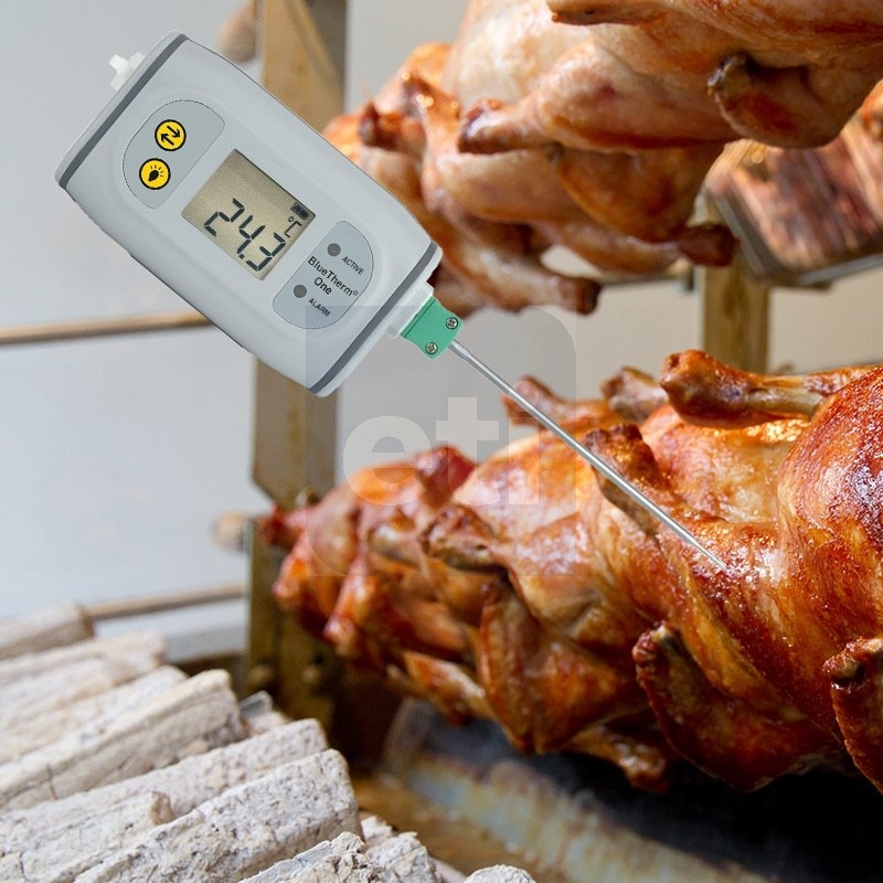 cooking thermometers: Saf-T-Log HACCP Recording Thermometer for Paperless  HACCP